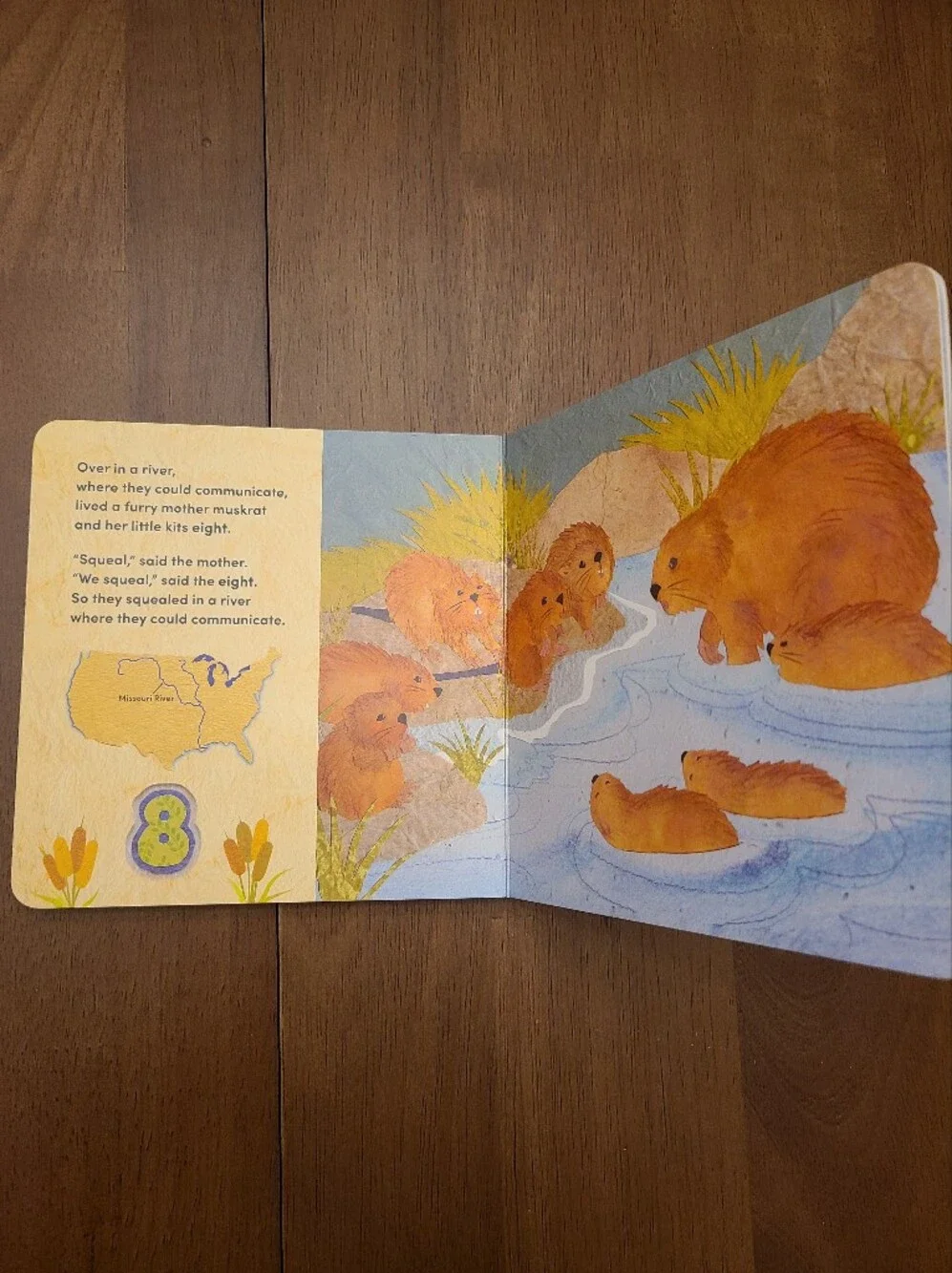 Over in a River Children's Board Book - Marianne Berkes Like New